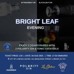 Bright Leaf Evening: 04 August 2025