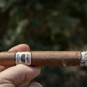 Unlocking the Rich Heritage of Charter Oak Cigars